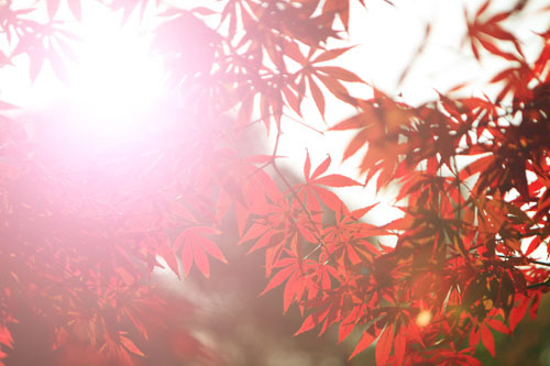&#27431;&#23453;&#32593;&#39029;&#29256;&#30331;&#24405;&#20837;&#21475;&#45;&#27431;&#23453;&#40;&#20013;&#22269;&#41;