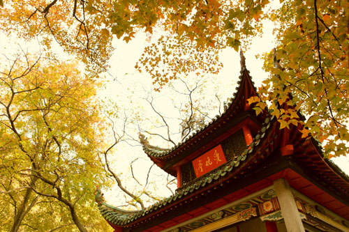 &#27431;&#23453;&#32593;&#39029;&#29256;&#30331;&#24405;&#20837;&#21475;&#45;&#27431;&#23453;&#40;&#20013;&#22269;&#41;
